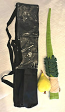 Lulav & Esrog For Kids With Lulav Case