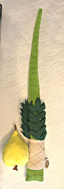 Lulav & Esrog For Kids With Lulav Case