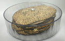 Matzah Box: Lucite - Round