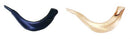 Shofars For Kids: Plastic - Assorted Colors