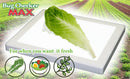 Bug Checker Max Light Board