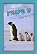 A Penguin - א פינגווין