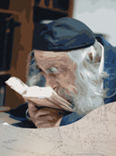 Paint By Number - Steipler