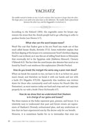 Haggadah For The Curious 2