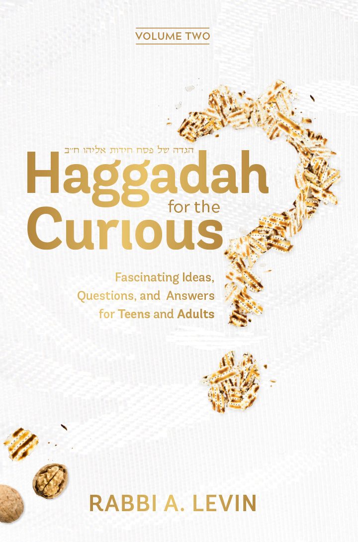 Haggadah For The Curious 2