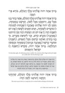 Haggadah For The Curious 2