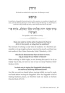 Haggadah For The Curious 2