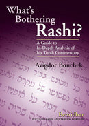 What's Bothering Rashi? - Bamidbar