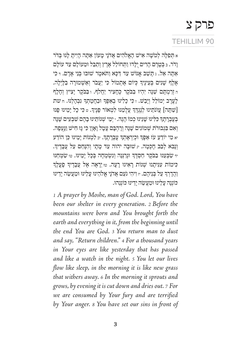 Living Tehillim: Chapters 90-118 - Volume 4