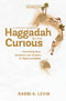 Haggadah For The Curious 3