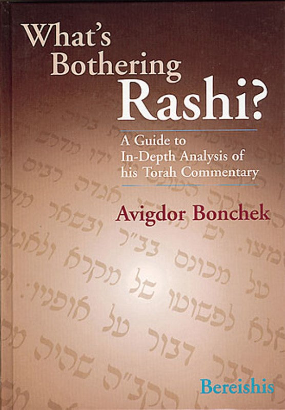 What's Bothering Rashi? - Bereishis