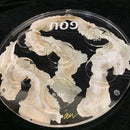 Waterdale Collection: Hand Painted Lucite Seder Plate By Abbey - Signature Collection