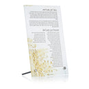 Waterdale Collection: Lucite Tabletop Gut Fun Avraham Painted By Zelda