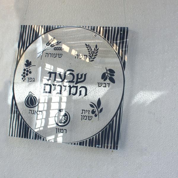 Waterdale Collection: Lucite Sukkah Decoration Shivas Haminim