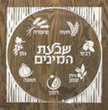 Waterdale Collection: Lucite Sukkah Decoration Shivas Haminim