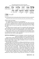 Reb Meilech on the Haggadah