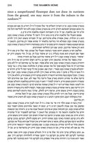 The Shabbos Home Volume 2