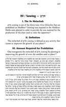 The Shabbos Home Volume 2