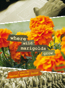 Where Wild Marigolds Grow