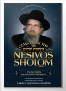 Gems From The Nesivos Shalom - Foundations of Marriage