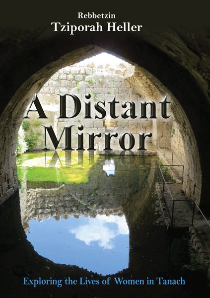 A Distant Mirror