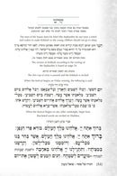 The Questions Asked Haggadah (Revised and Expanded)