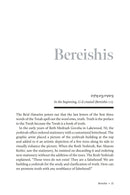 Flashes of Torah