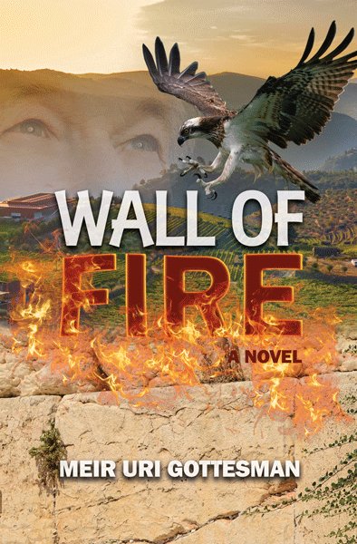 Wall of Fire - A Novel