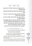 Gems From The Nesivos Shalom - Megillas Esther