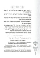 Gems From The Nesivos Shalom - Megillas Esther