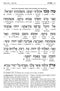 Artscroll Interlinear Siddur: Shabbos & Festivals - Full Size - Brown Yerushalayim Leather