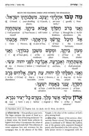 Artscroll Interlinear Siddur: Weekday & Shabbos Set - Brown Antique Leather