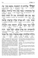 Artscroll Interlinear Siddur: Weekday - Brown Yerushalayim Leather