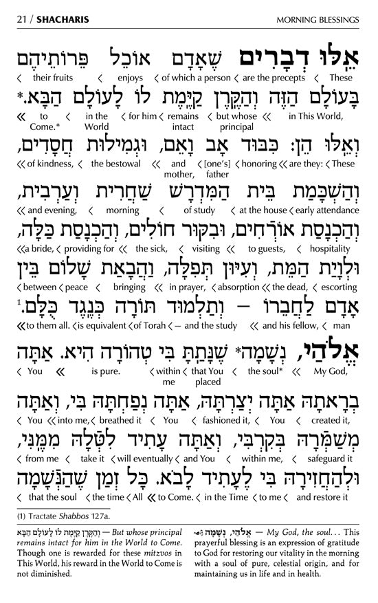 Artscroll Interlinear Siddur: Shabbos & Festivals - Full Size - Brown Yerushalayim Leather