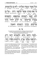 Artscroll Interlinear Tehillim - Maroon Leather