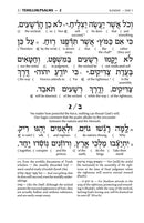 Artscroll Interlinear Tehillim - Two Tone Yerushalayim Leather