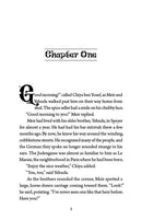 The Chronicals of Meir Ben Yaakov: The Search For The Crown