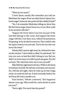 The Chronicals of Meir Ben Yaakov: The Search For The Crown