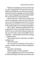 The Chronicals of Meir Ben Yaakov: The Search For The Crown