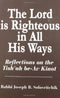 The Lord Is Righteous In All His Ways: Reflections On The Tish'Ah Be-Av Kinot