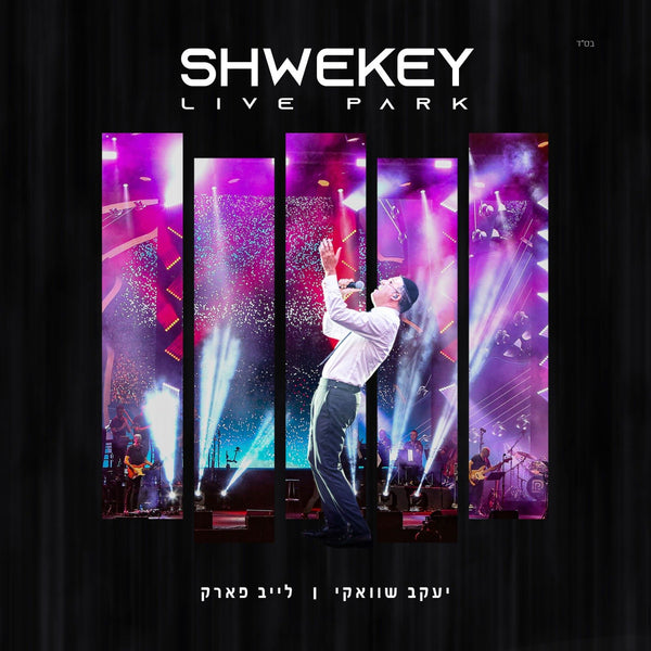 Yaakov Shwekey - Live Park (Music Only)