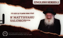 R' Mattisyahu Salomon: English Series - Volume 2 (USB)