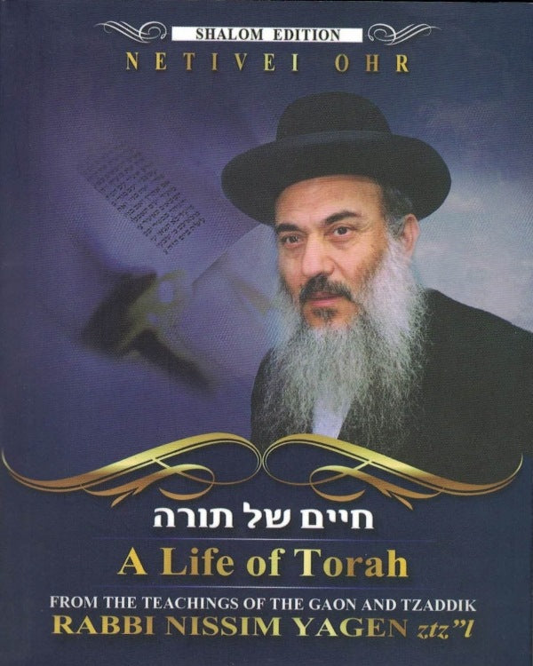 Netivei Ohr: A Life of Torah