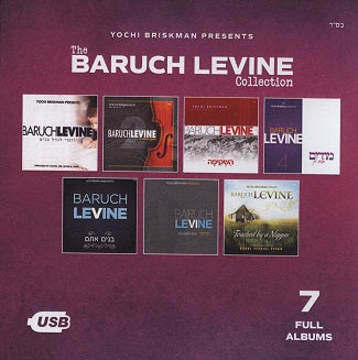 The Baruch Levine Collection (USB)