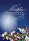 Magic Moments (DVD)