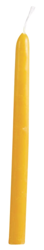 Chanukah Candle Beeswax Jumbo