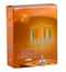 Silver Plated Candle Menorah