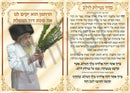 Succah Poster: Vinyl Waterproof - Tosh Rebbe Netilas Lulav