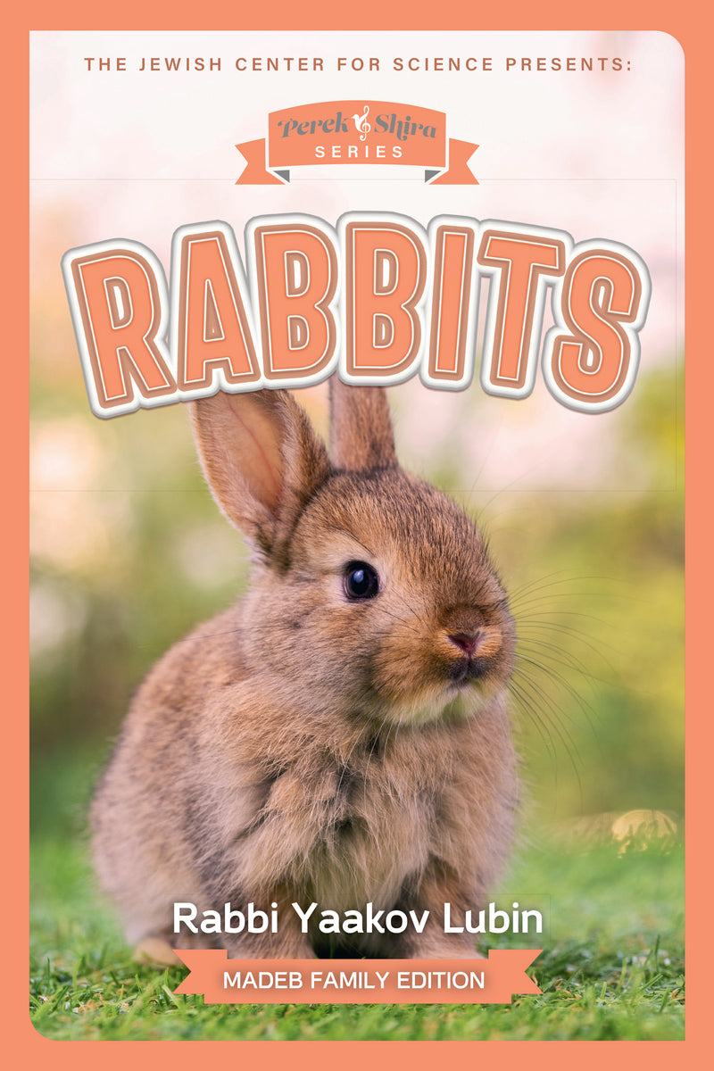 Perek Shirah Seies: Rabbits