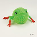 Passover Squoosh Frog